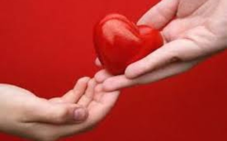 Zbiórka Zgubienie portwela - zdjęcie główne