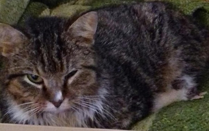 Zbiórka Eryk - walka z białaczką - zdjęcie główne