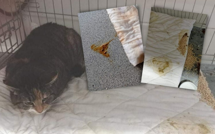 Zbiórka Mamy przesr_ne , prosimy o pomoc - zdjęcie główne