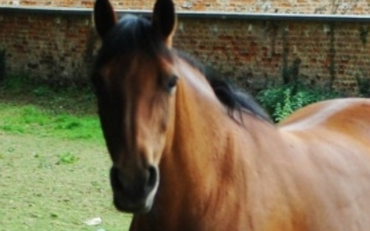 Zbiórka Moje najwiękrze marzenie - zdjęcie główne