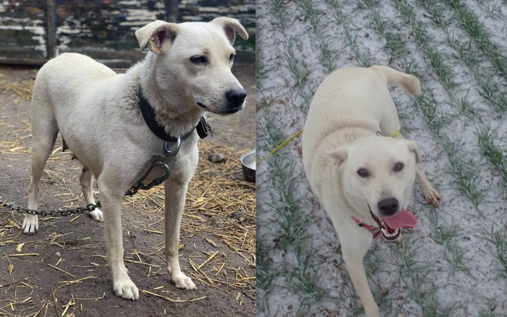 Zbiórka Śnieżka z łańcucha - zdjęcie główne