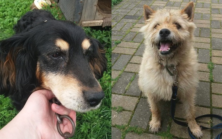 Zbiórka Tofik i Dzeki chcą jeść - zdjęcie główne