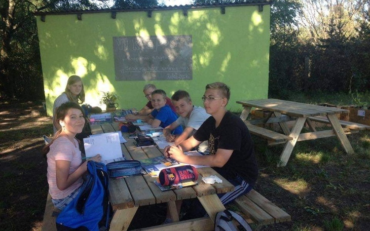 Zbiórka Rośliny do zielonej klasy - zdjęcie główne