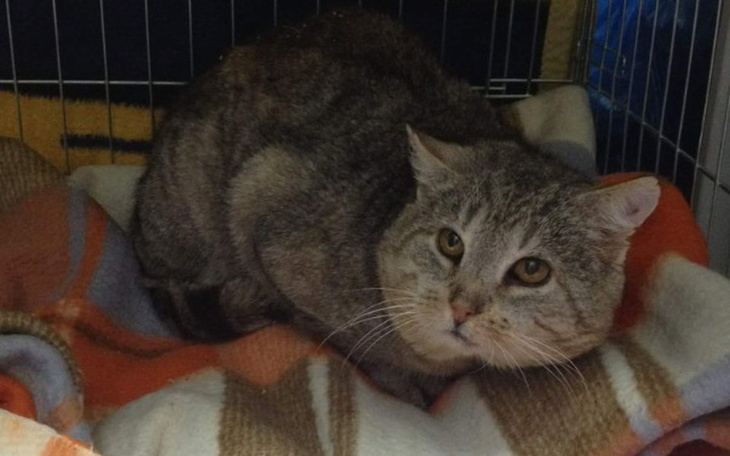 Zbiórka Niewidzialny za życia - zdjęcie główne