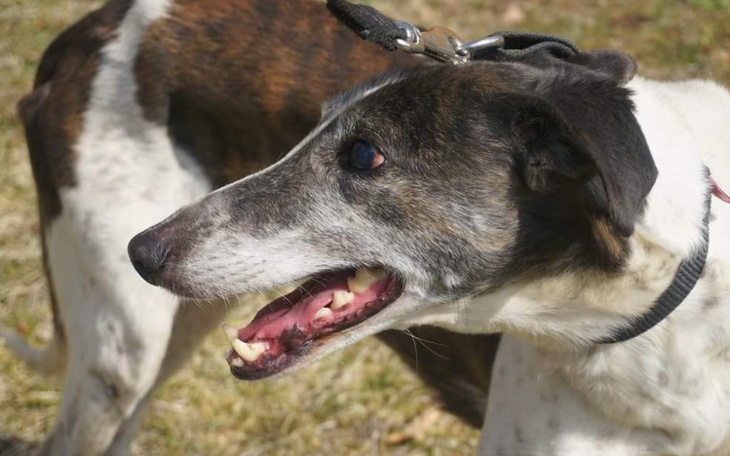 Zbiórka Na dotarcie do lepszego miejsca. - zdjęcie główne