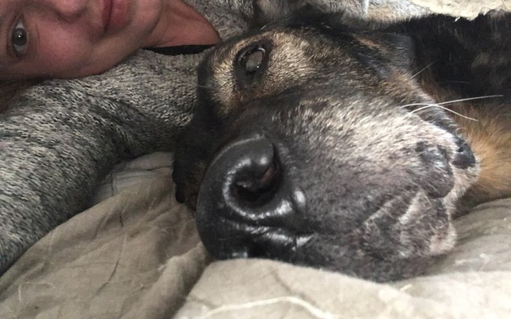 Zbiórka Operacja RAKA Śledziony U Helios - zdjęcie główne