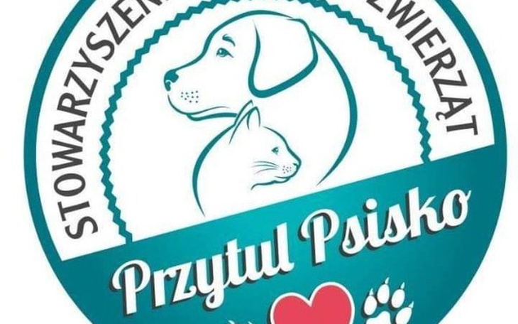 Zbiórka SOZ "Przytul Psisko" - zdjęcie główne
