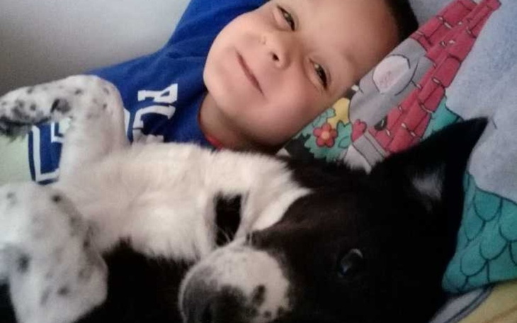 Zbiórka Prawo jazdy marzenie - zdjęcie główne