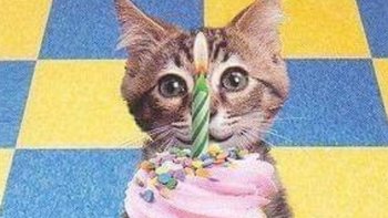 Zbiórka Zbiórka urodzinowa 2026 - miniaturka zdjęcia