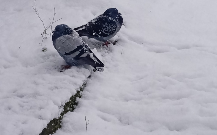 Zbiórka Na lepszy początek po szkole - zdjęcie główne