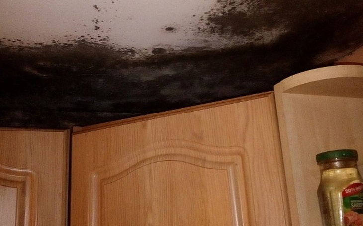 Zbiórka Ratowanie domu!! - zdjęcie główne