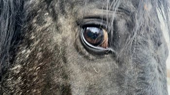 Zbiórka Wyrok po pracy w morskim oku - miniaturka zdjęcia