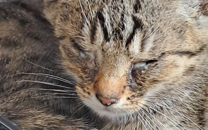 Zbiórka Nikomu nie potrzebne chcą żyć - zdjęcie główne