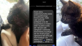 Zbiórka Katia zbiera na fakturę - miniaturka zdjęcia