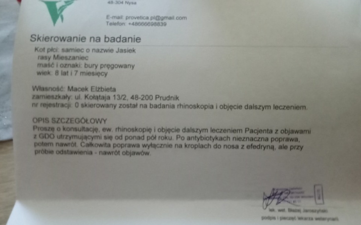 Zbiórka Jasio - zdjęcie główne