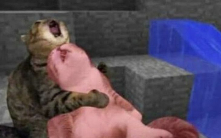 Zbiórka Wyjazd do Krakowa bo niema chajs - zdjęcie główne