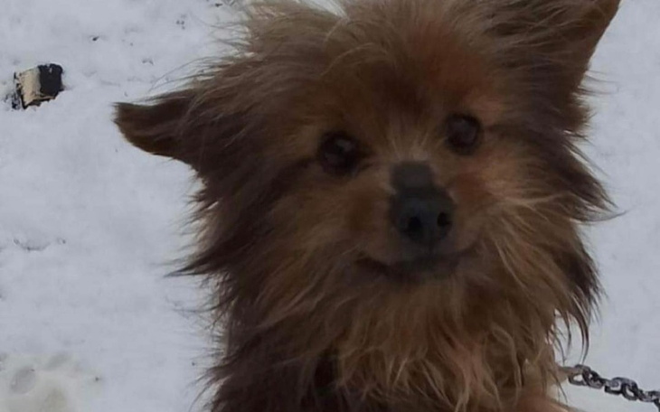 Zbiórka Miki z łańcucha - zdjęcie główne