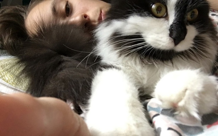 Zbiórka Szansa dla Karolka, beat FIP - zdjęcie główne