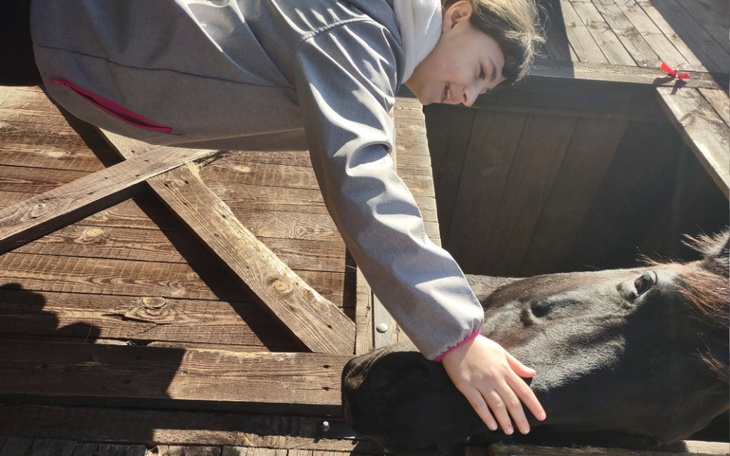 Zbiórka Marzenie Córki o własnym koniku - zdjęcie główne