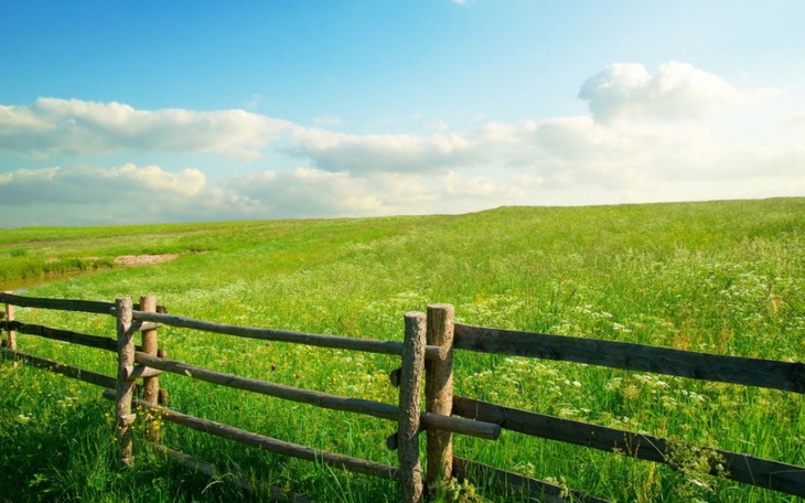 Zbiórka Własna działka - zdjęcie główne