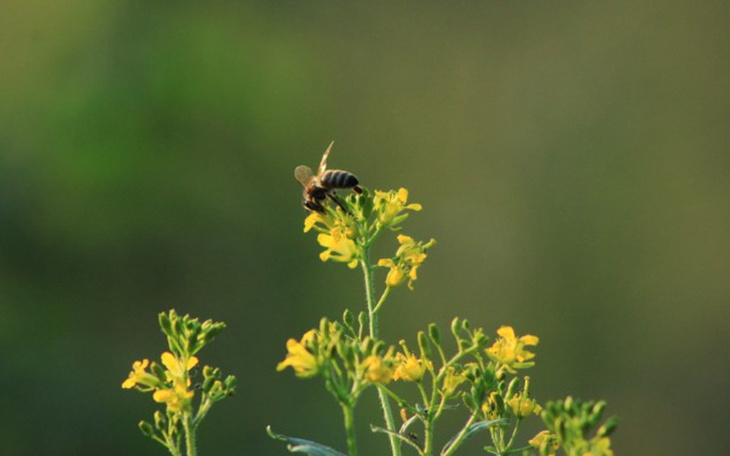 Zbiórka Rozwijanie pasji- obiektyw - zdjęcie główne