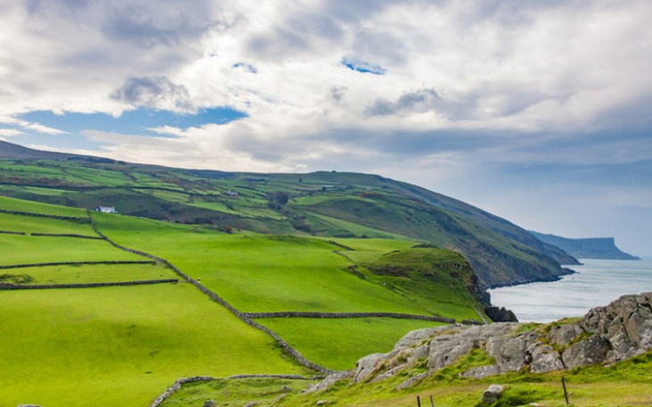 Zbiórka Wyjazd rodzinny do Irlandii - zdjęcie główne