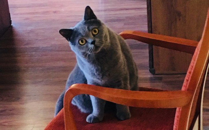 Zbiórka urodzinowa 23 - zdjęcie główne