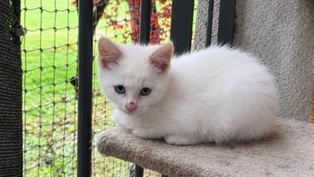 Zbiórka Jogurcik i jego profilaktyka :) - miniaturka zdjęcia