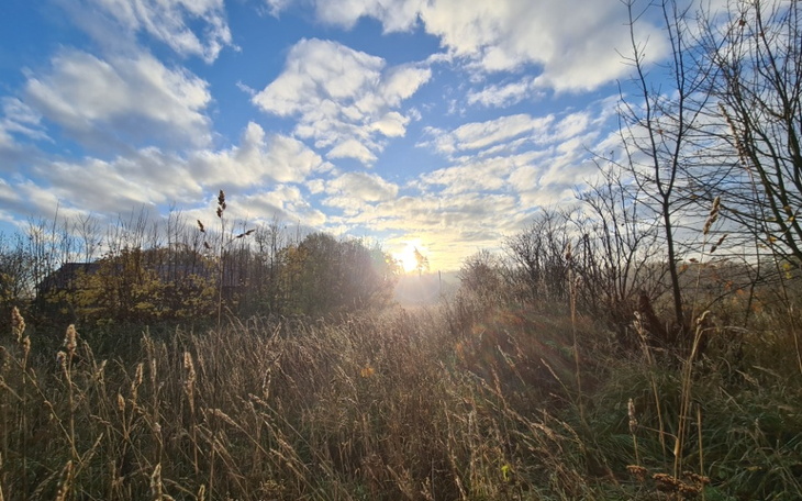 Zbiórka rodzina nie wybiera - zdjęcie główne