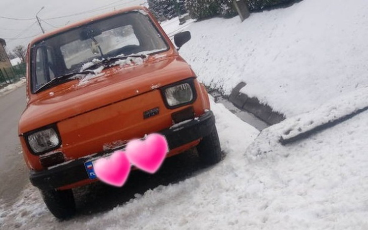 Zbiórka Renowacja małej bestji - zdjęcie główne