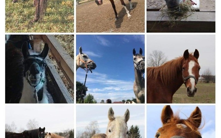 Zbiórka Nie jesteśmy obojętni - zdjęcie główne