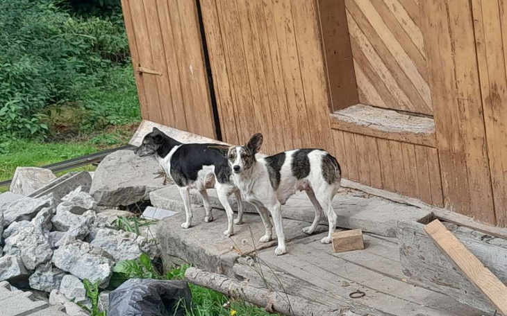 Zbiórka Odłowić je może tylko JAMOR - zdjęcie główne