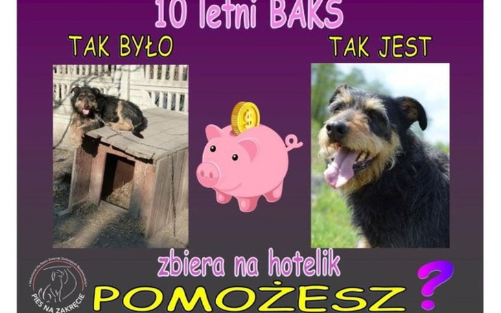 Zbiórka pomóż spłacić dług BAKSA - zdjęcie główne