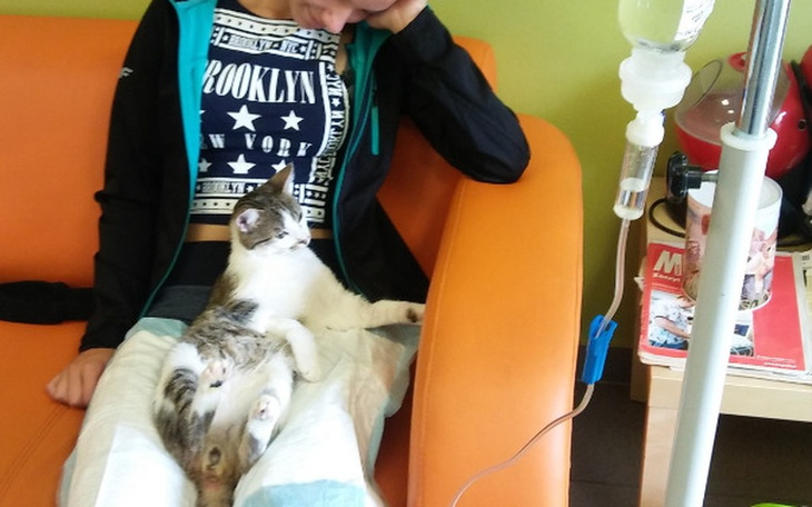 Zbiórka Ratujmy Miałkaja! - zdjęcie główne