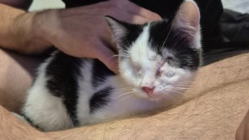 Zbiórka Faktury grudniowe - miniaturka zdjęcia