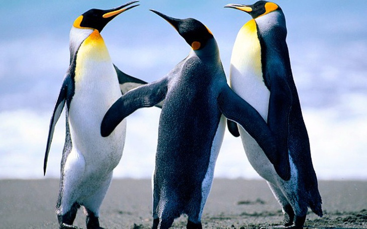 Zbiórka Nowy Komputer dla Pro-Gracza - zdjęcie główne