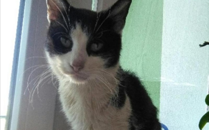 Zbiórka Na leczenie Aneczki - zdjęcie główne