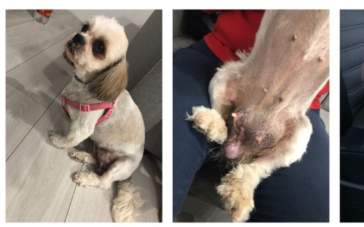 Zbiórka Nowotwór sutka - zdjęcie główne