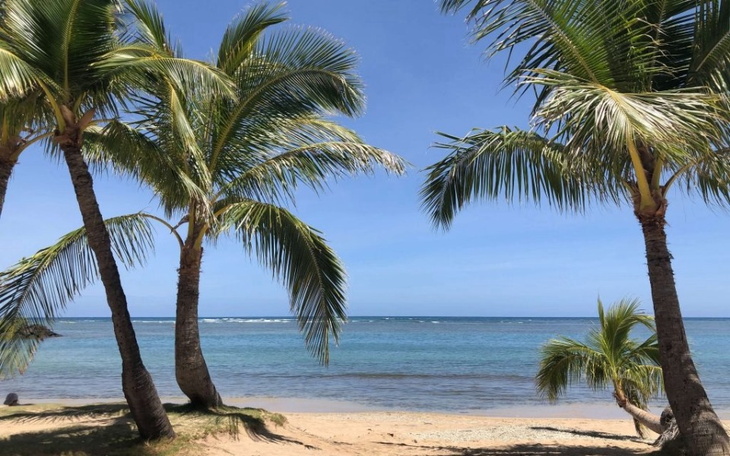 Zbiórka Po marzenia2 - zdjęcie główne