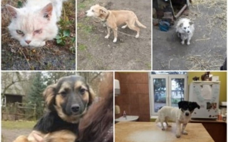 Zbiórka Nie odwracaj wzroku... - zdjęcie główne