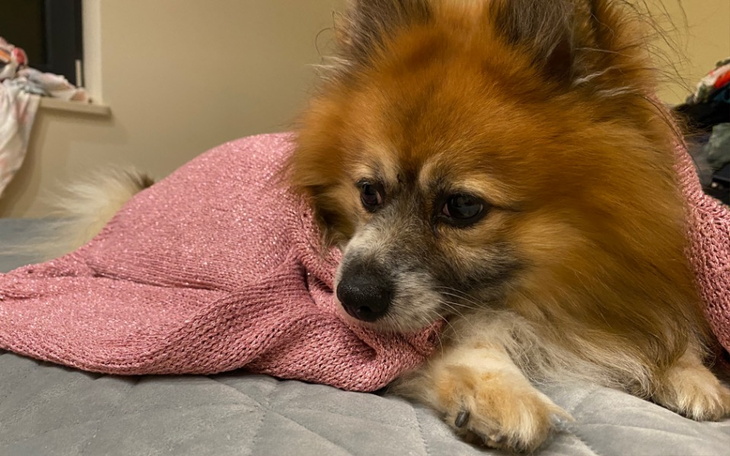 Zbiórka Smutny Sylwester Leosia - zdjęcie główne