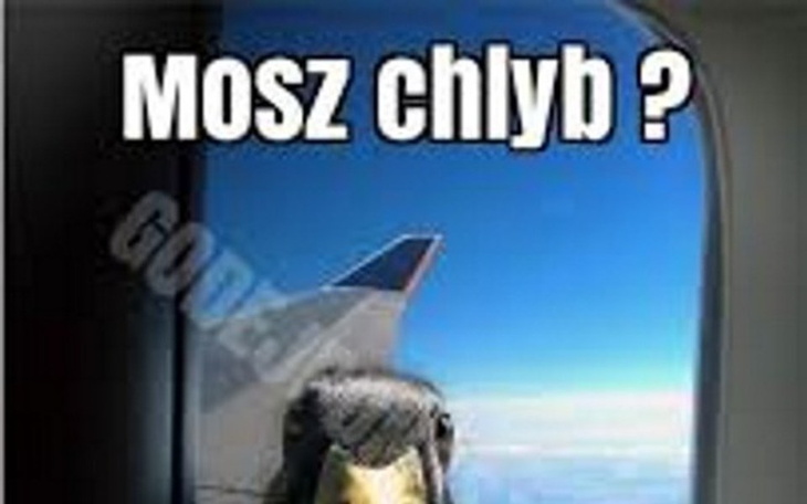 Zbiórka Na wakacje i na jedzenie - zdjęcie główne