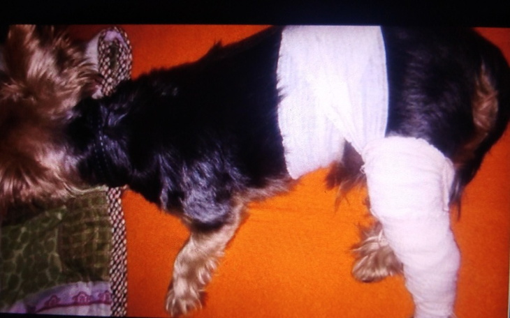 Zbiórka Rehabilitacja i leki po operacji - zdjęcie główne