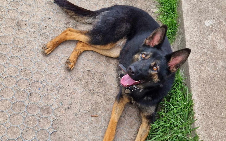 Zbiórka Kejsi - zdjęcie główne