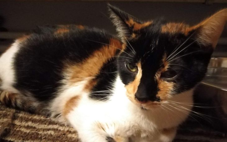 Zbiórka Sky nie chce do nieba - zdjęcie główne