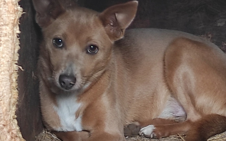 Zbiórka Skreślony na starcie... - zdjęcie główne