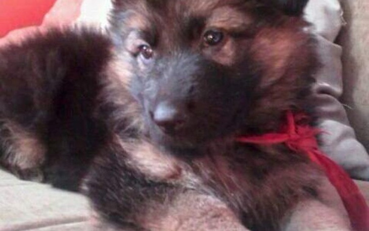 Zbiórka :( :( - zdjęcie główne