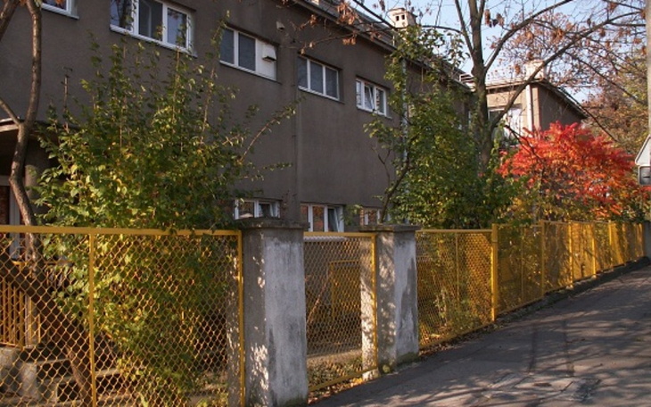 Zbiórka Mikołajki w Domu Dziecka - zdjęcie główne