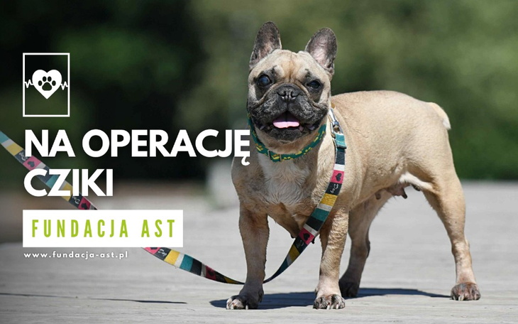 Zbiórka Na operację Cziki - zdjęcie główne