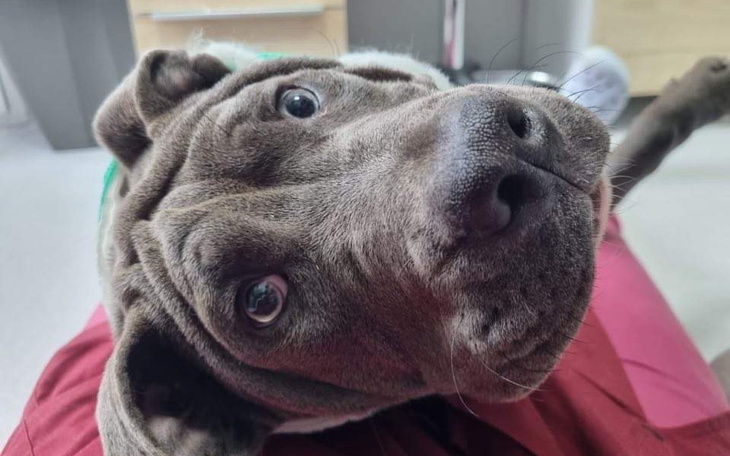 Zbiórka Złamany kręgosłup. Wyrok śmierci - zdjęcie główne